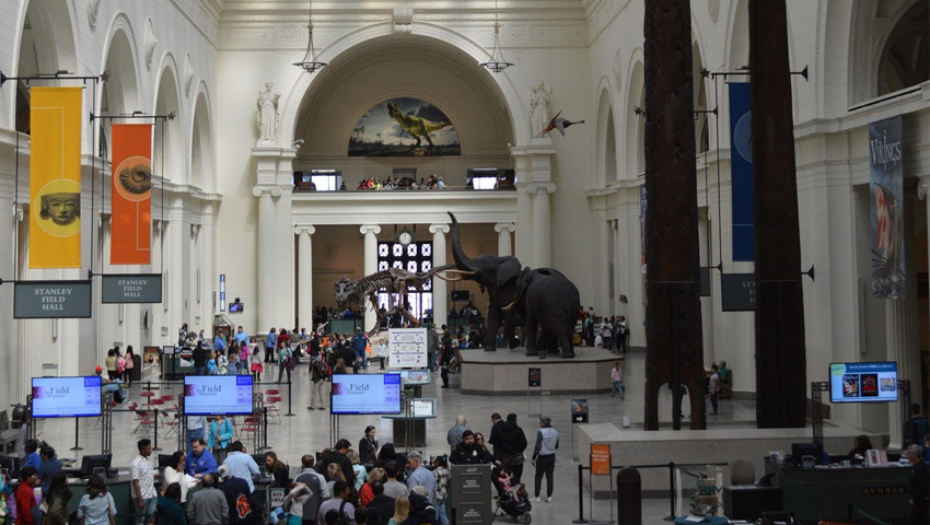 The field Museum